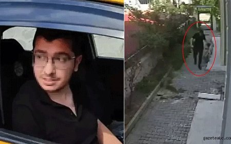 Hayvanseverleri Ayağa Kaldıran Olayda Yeni Perde