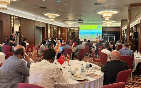 Türkiye'de Uganda Rüzgarı!