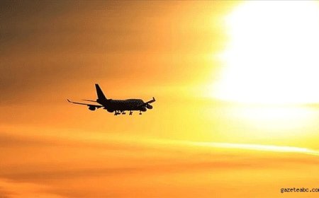 Gıda Zehirlenmesi İhtimaliyle Air India Uçuşu Krizi