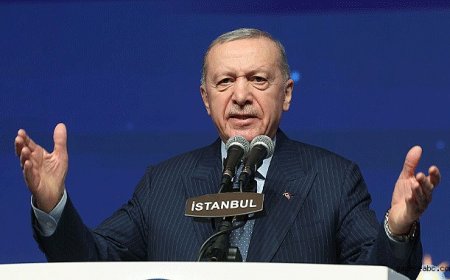 Erdoğan: “İstanbul ve Diğer İllerde Belgeler Ortada”