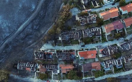 İzmir'de Ciğerlerimiz Küle Döndü!