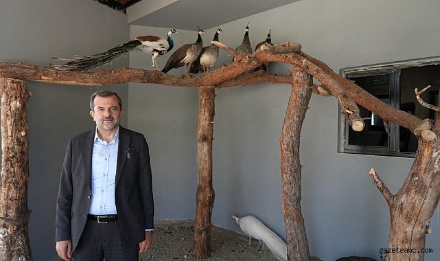 Gürsu'ya butik hayvanat bahçesi