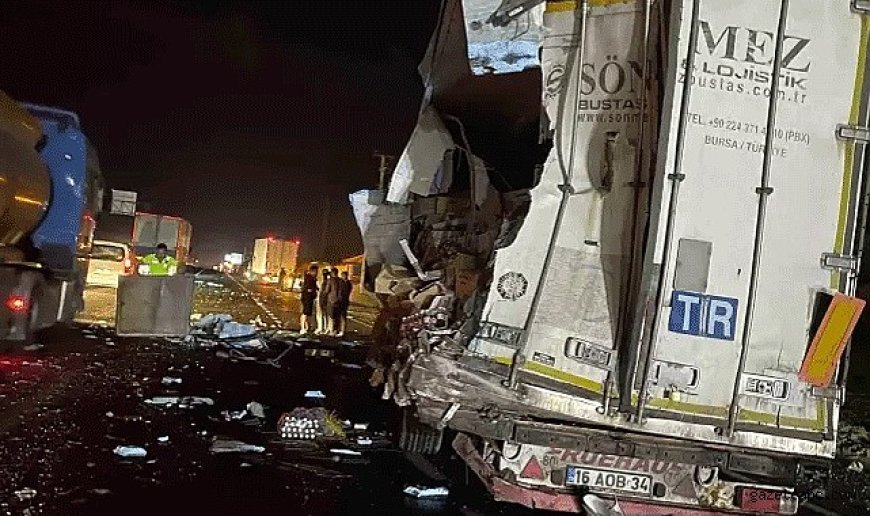 Sakarya'da Can Pazarı