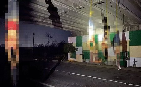 Otoyolda korkunç manzara!