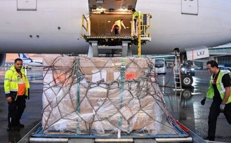 65 Yıl Sonra Evine Döndü