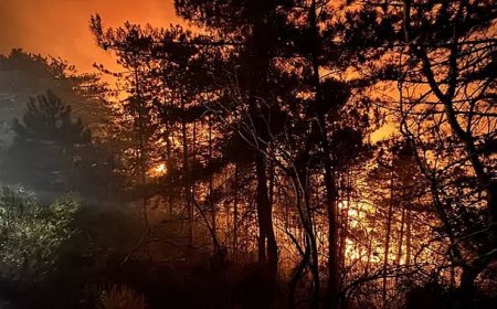 Alevler Arasında Can Pazarı