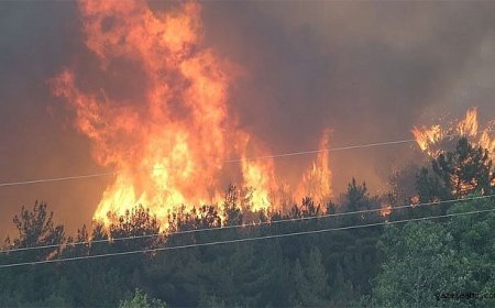 Türkiye Yanıyor Mücadele Sürüyor