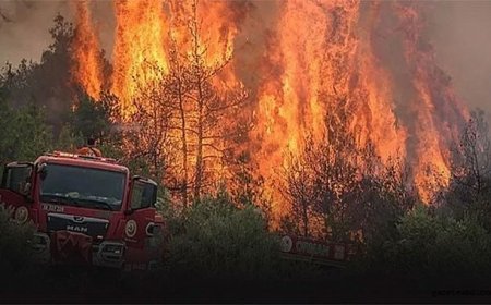 İzmir ve Bilecik’te Afet Durumu İlanı