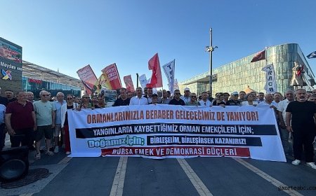 Bursa’da Orman Yangınlarına Tepki Büyüyor