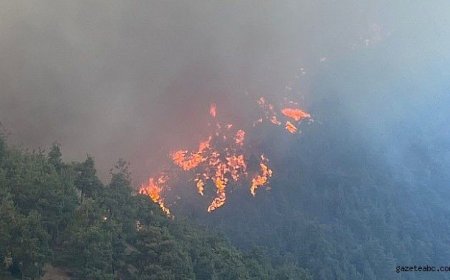 Bursa’da Ciğerlerimiz Yanıyor!