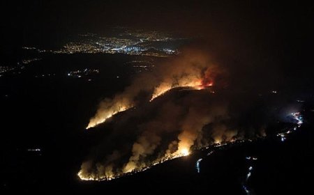 Alevler Yerleşim Yerlerini Sardı