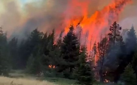Çankırı'da Yangın Alarmı!
