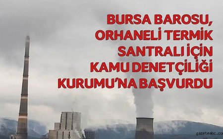 Bursa Barosu’ndan Kamu Denetçiliği’ne Başvuru