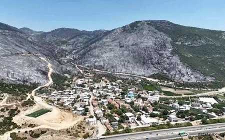 Küller Arasında Sessizlik