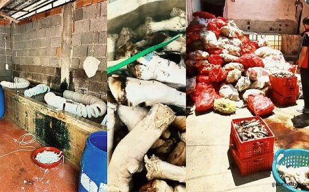 5 Tonluk Hijyen Skandalı!