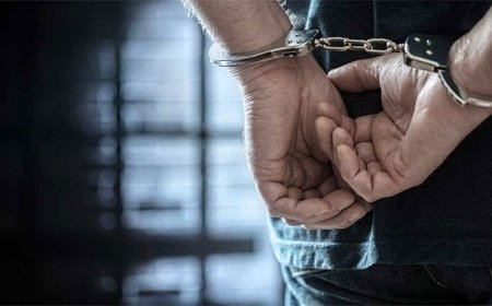 Organize Suç Davasında Tehlikeli Plan