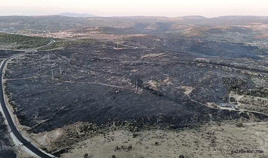 Çanakkale Ayvacık’ta Tahliyeler Başladı