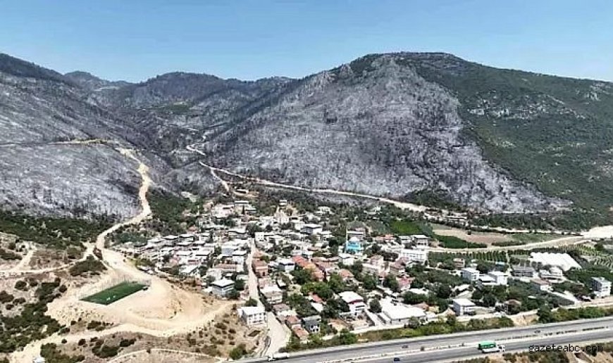Küller Arasında Sessizlik