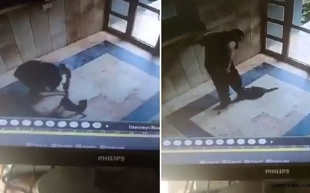 Kediyi vahşice öldüren caninin ifadesi ortaya çıktı