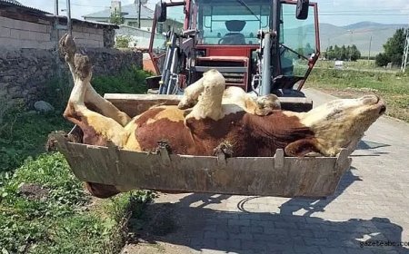 Üreticilerden Yetkililere İsyan