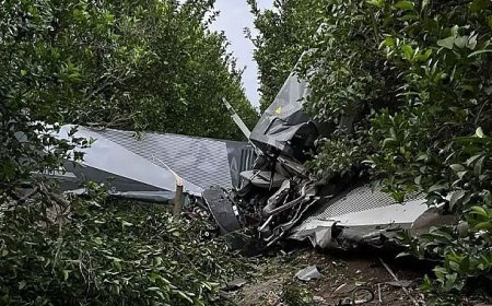 Evlilik Teklifinde Facia