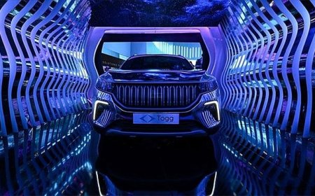 Togg, Türkiye Pazarında Zirvede