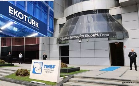 Ekotürk'e kayyum şoku