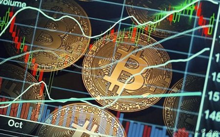 Kripto Piyasasında Panik