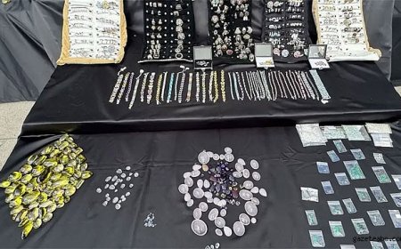 İstanbul'da Milyonluk Operasyon