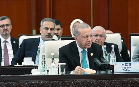 Erdoğan'dan Zirvede ''Gazze'' Çağrısı