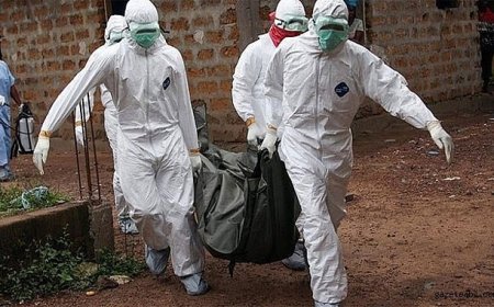 Dünyayı Korkutan Salgın Hızla Yayılıyor