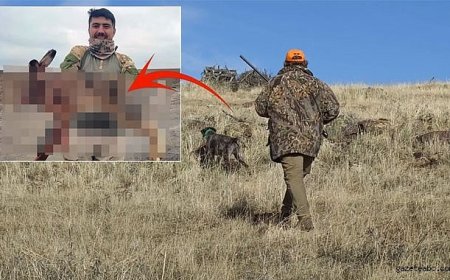 Avcı ve Dev Tavşan Hikayesi