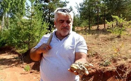 Bayburt’un Doğal Hazinesi