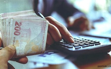 Vergi Yüzsüzlerine Kamuoyu Cezası