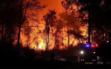 Orman Yangınlarında Son Durum!