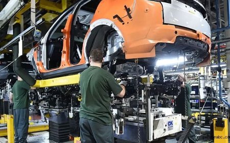 Sanayi Devi Üretimi Durdurdu