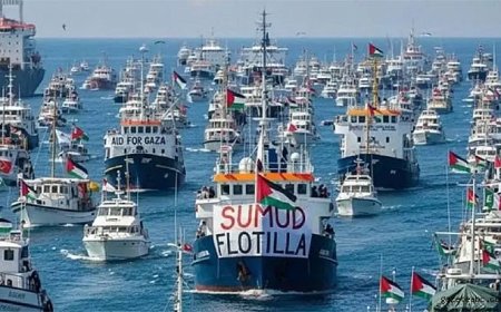 Sumud Filosu'na Avrupa'dan Destek Büyüyor