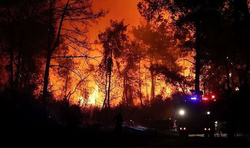 Orman Yangınlarında Son Durum!
