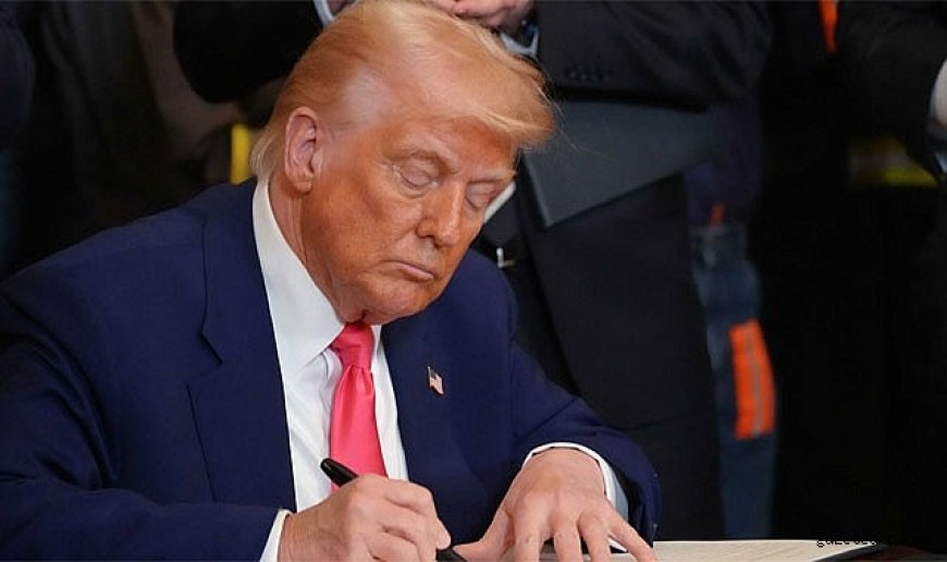 Trump'tan Vatandaşlık Hamlesi