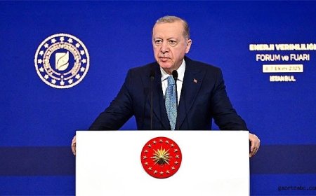 Erdoğan: "Eleştirenler Türkiye'nin Geleceğini Görmüyor"