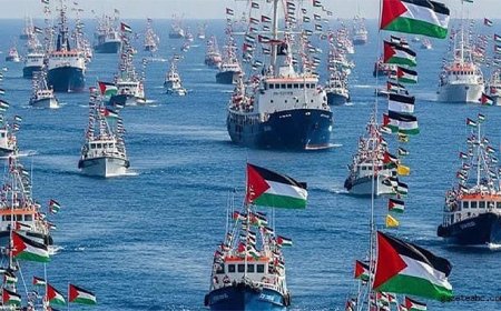 İsrail'in Gözaltına Aldığı 171 Aktivist Sınır Dışı Edildi