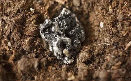 Eskişehir’de 694 Milyon Tonluk Dev Keşif