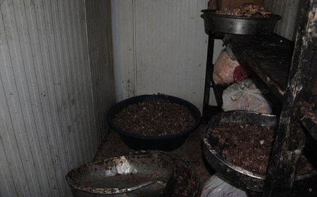 Gastronomi Şehrinde Bozuk Et Skandalı