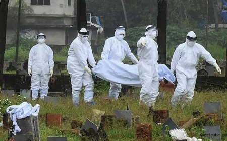 Lassa Virüsü Yayılıyor