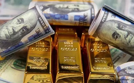 Faiz Düşüşü Sonrası Yatırımcı Tepkisi