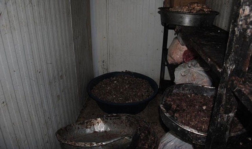 Gastronomi Şehrinde Bozuk Et Skandalı