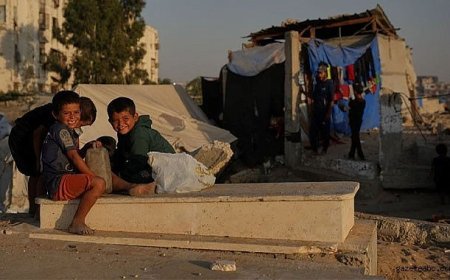 Yıkılan Evler Mezarlıkta Hayat