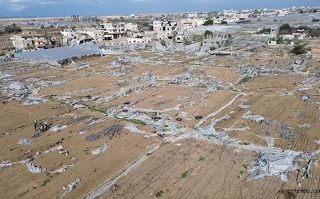 Gazze’de Tarım Felaketi