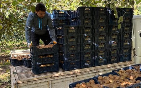 Hafta İçi İş İnsanı, Hafta Sonu Çiftçi: Engin Balta'nın İki Yönlü Başarısı