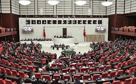 Af Düzenlemesi Meclis’e Sunuluyor